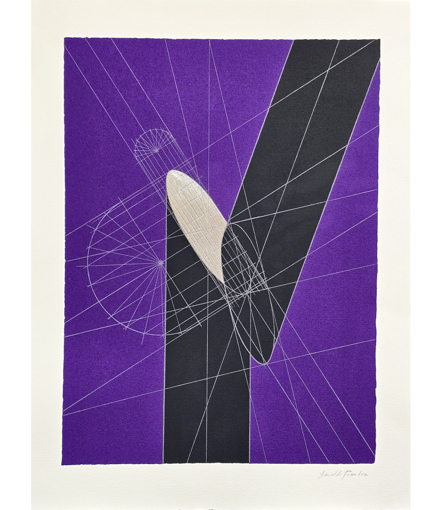 Stampa serigrafica da litografia Colonna recisa trasversalmente II (viola, 1970), 2025