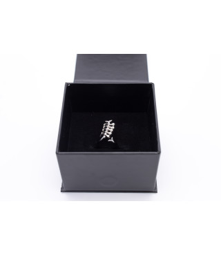 Anello, 2026 | silver