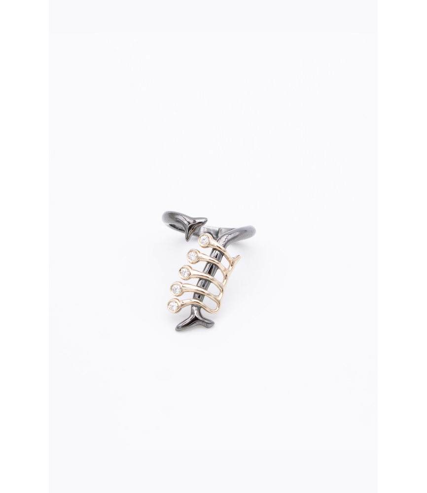 Anello, 2026 | gold and diamonds