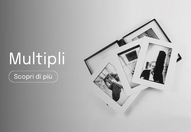 Enter and view the Multipli catalogue