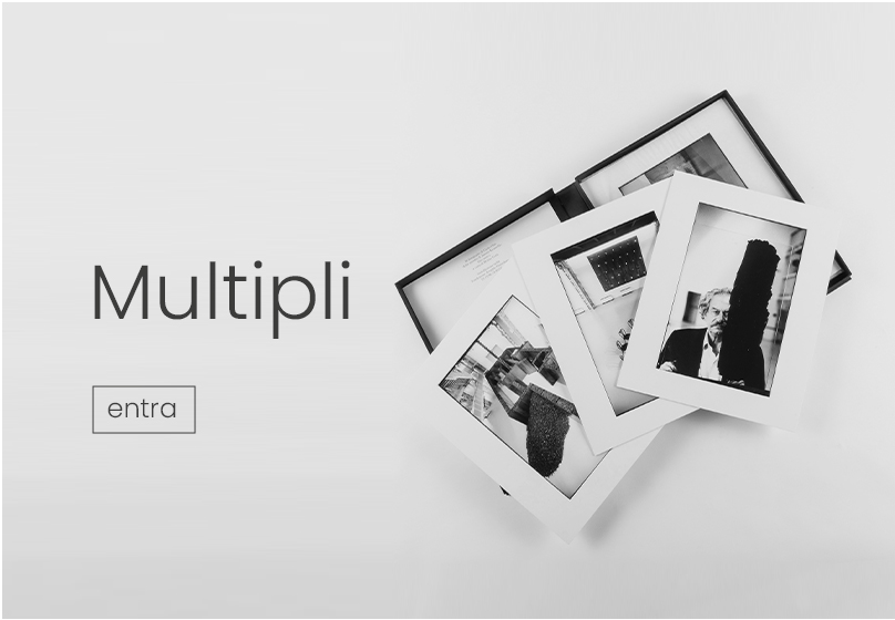 Enter and view the Multipli catalogue